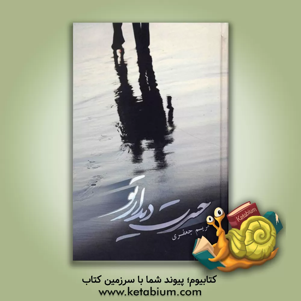 کتاب حسرت دیدار تو اثر مریم (امینی) جعفری