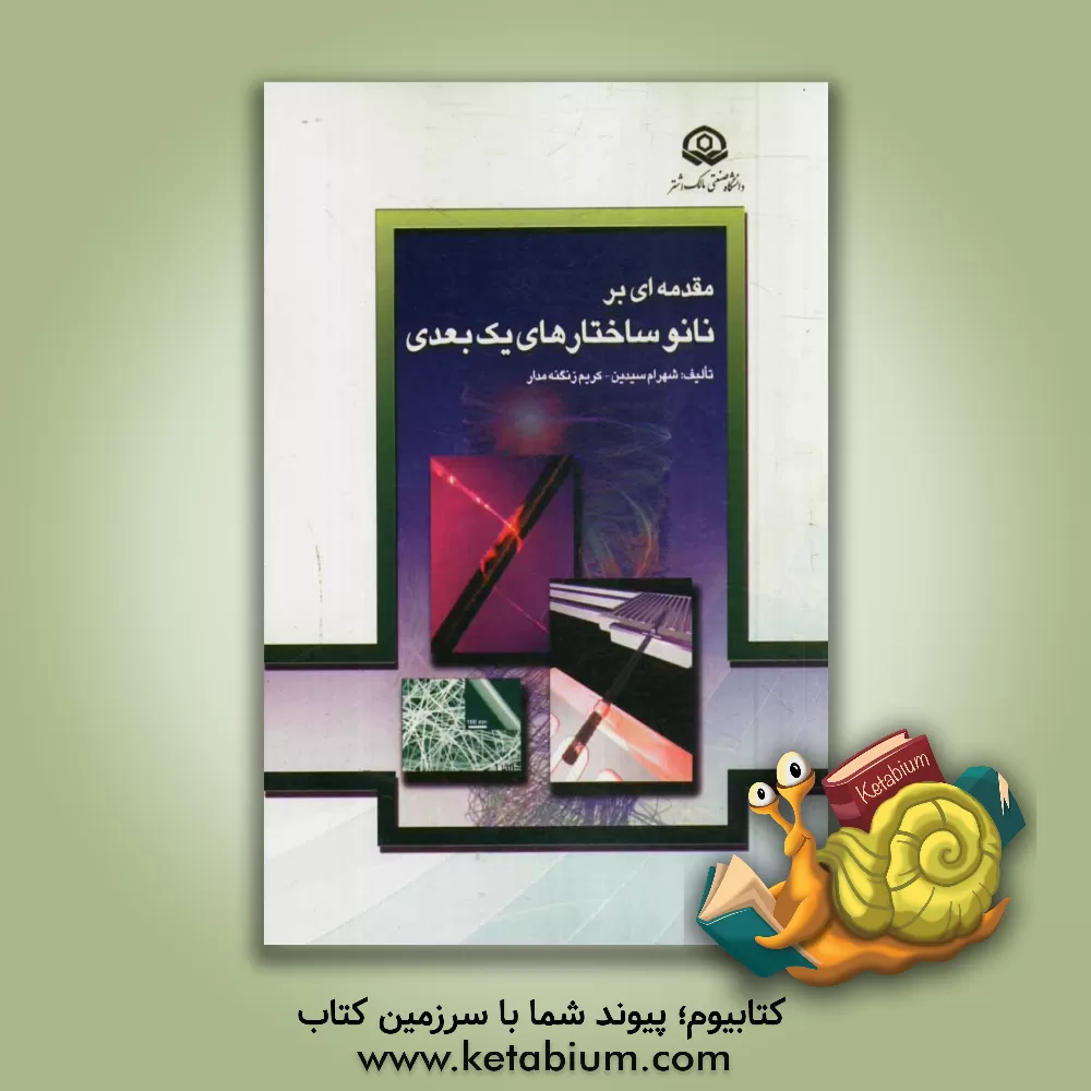 کتاب مقدمه ای بر نانوساختارهای یک بعدی اثر شهرام سیدین