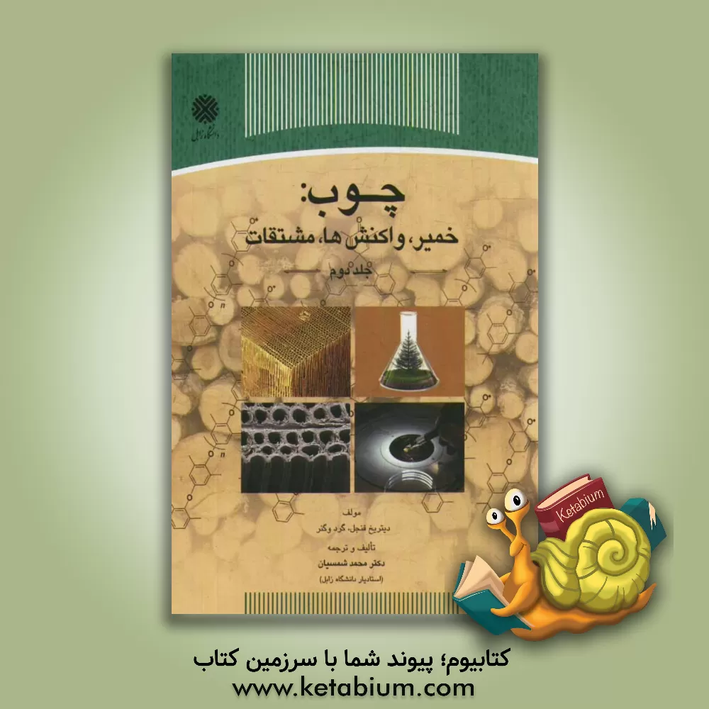 کتاب چوب: خمیر، واکنش ها و مشتقات اثر دیتریخ فنجل