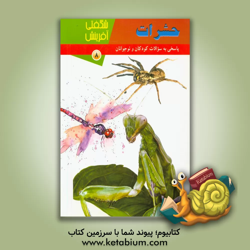 کتاب حشرات اثر مبینا احمدی