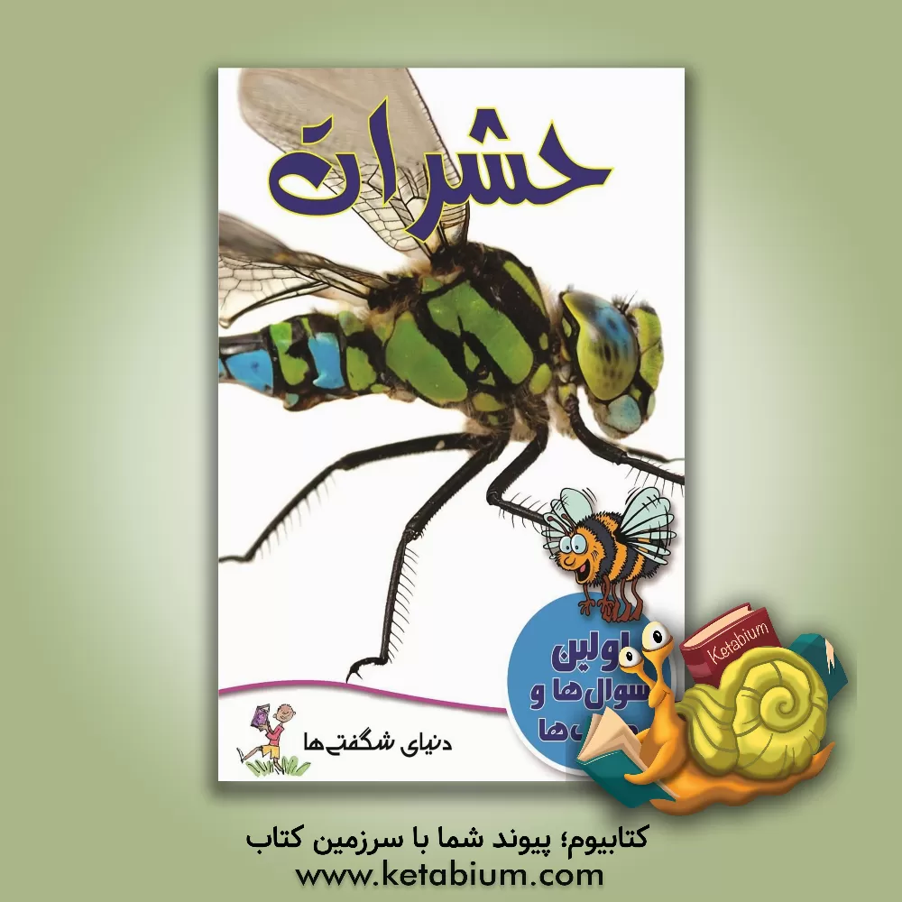 کتاب حشرات اثر جو کوان