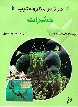 کتاب حشرات در زیر میکروسکوب اثر جان استیدورتی