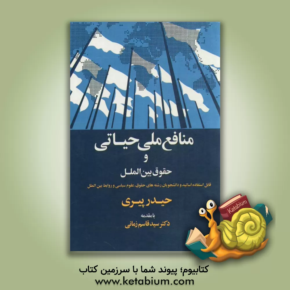 کتاب منافع ملی حیاتی در چارچوب حقوق بین الملل اثر حیدر پیری