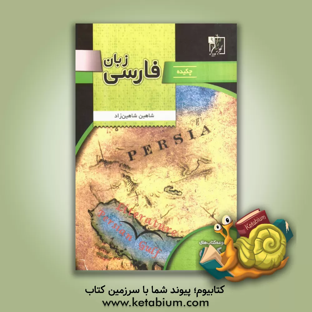 کتاب چکیده زبان فارسی اثر شاهین شاهین‌زاد