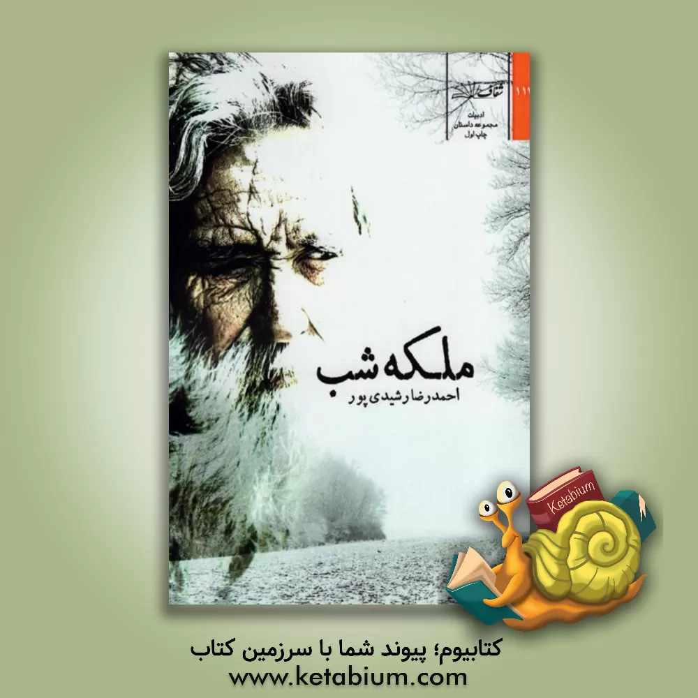 کتاب ملکه شب: شش داستان کوتاه اثر احمدرضا رشیدی‌پور