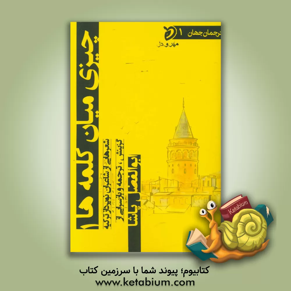 کتاب چیزی میان کلمه ها: شعرهایی از شاعران نوپرداز ترکیه اثر ابوالفضل پاشا