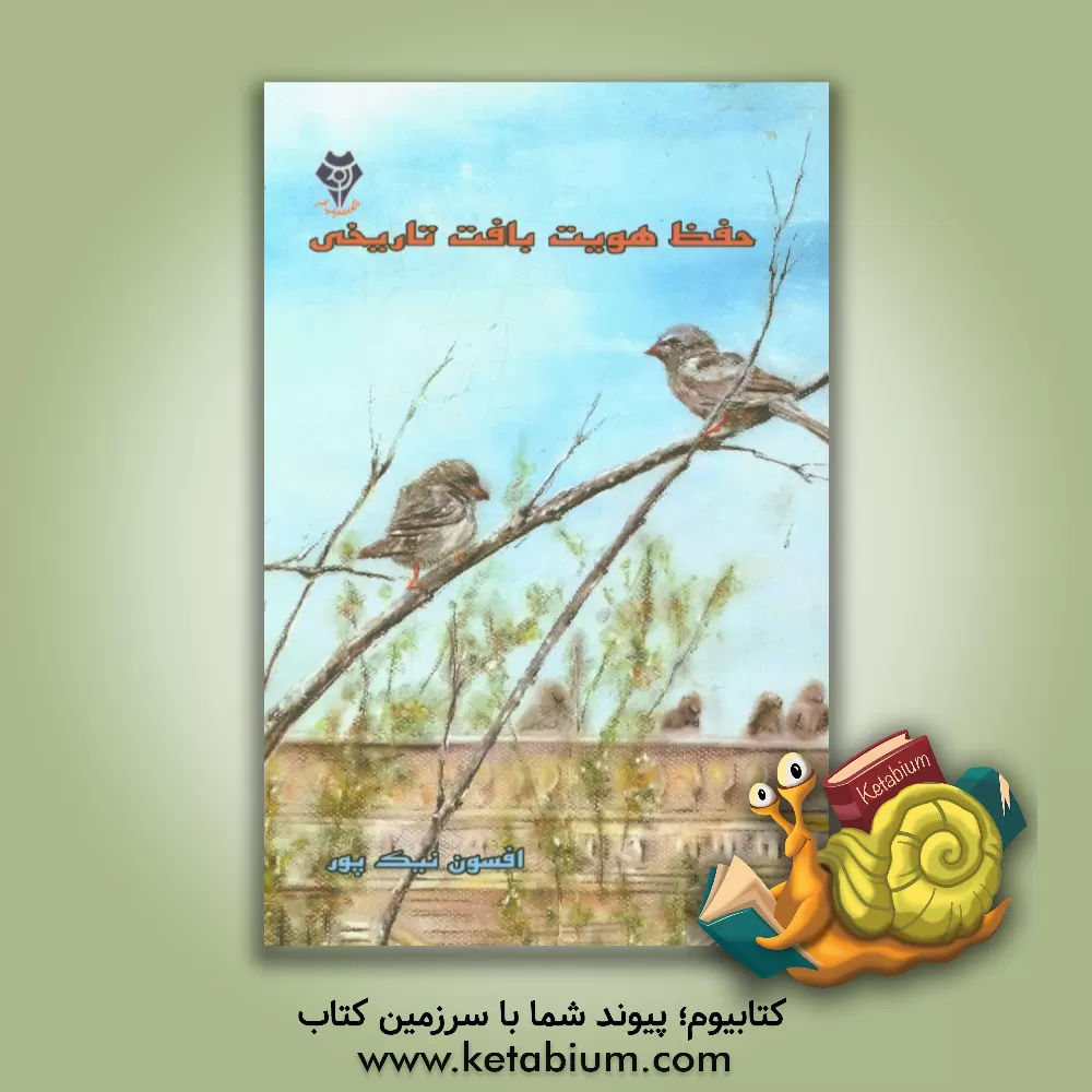 کتاب حفظ هویت بافت تاریخی اثر صغرا نیک‌پور