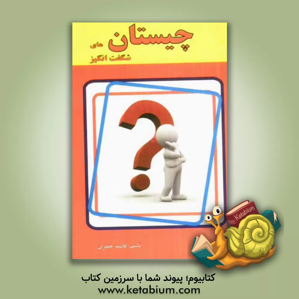 کتاب چیستان های شگفت انگیز اثر فاطمه جعفری