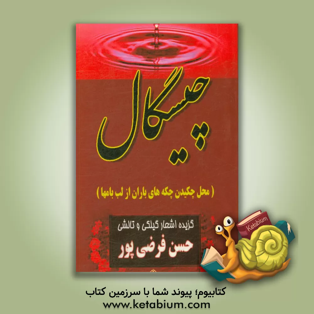 کتاب چیسگال (محل چکیدن چکه های باران از لب بامها) اثر حسن فرضی‌پور