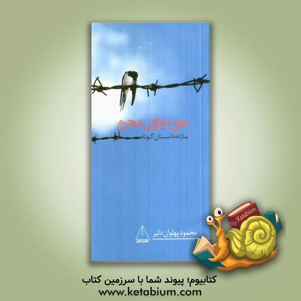 کتاب حق وتوی مجرم: یازده داستان کوتاه اثر محمود پهلوان‌دلیر