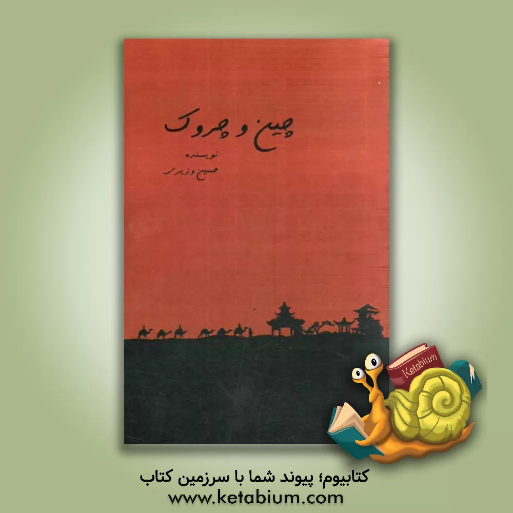 کتاب چین و چروک اثر حسین وزیری‌آستانه