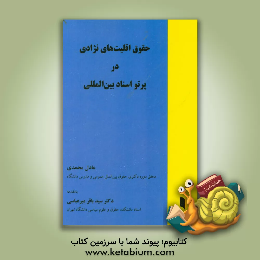 کتاب حقوق اقلیت های نژادی در پرتو اسناد بین المللی اثر عادل محمدی