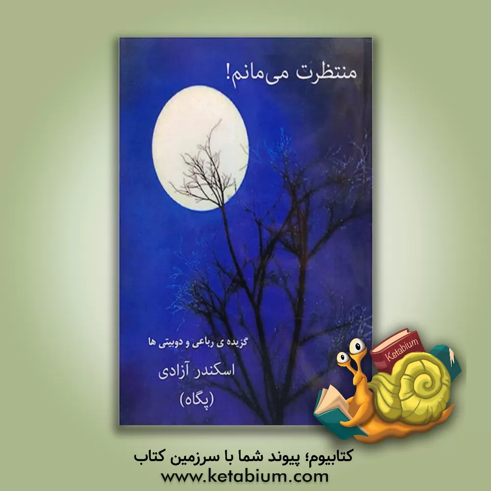 کتاب منتظرت می مانم !: گزیده ی رباعی و دوبیتی ها اثر اسکندر آزادی