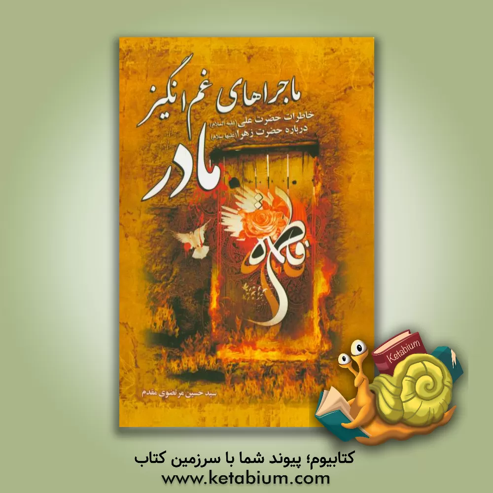 کتاب ماجراهای غم انگیز مادر! اثر سیدحسین مرتضوی‌مقدم‌قاینی