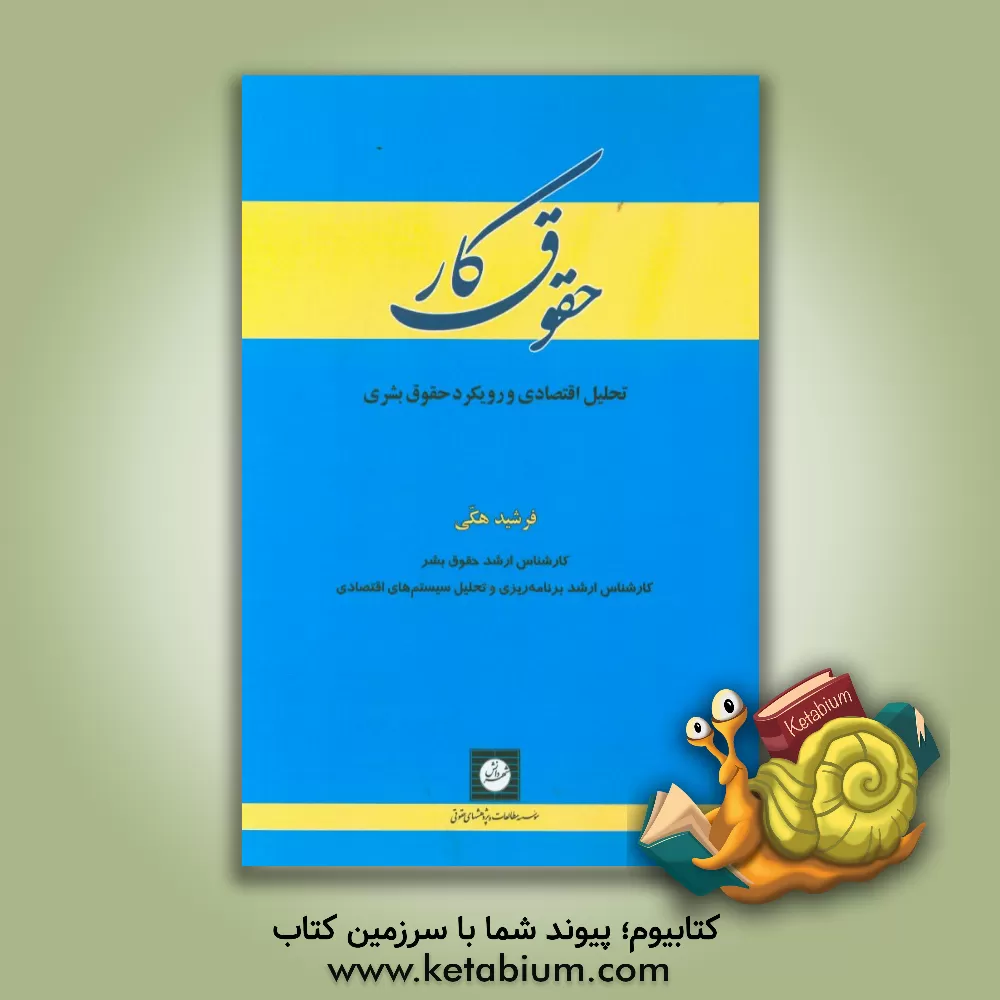 کتاب حقوق کار: تحلیل اقتصادی و رویکرد حقوق بشری |اثر فرشید هکی