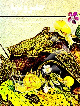 کتاب حلزونها اثر ویکتوریا کوکس