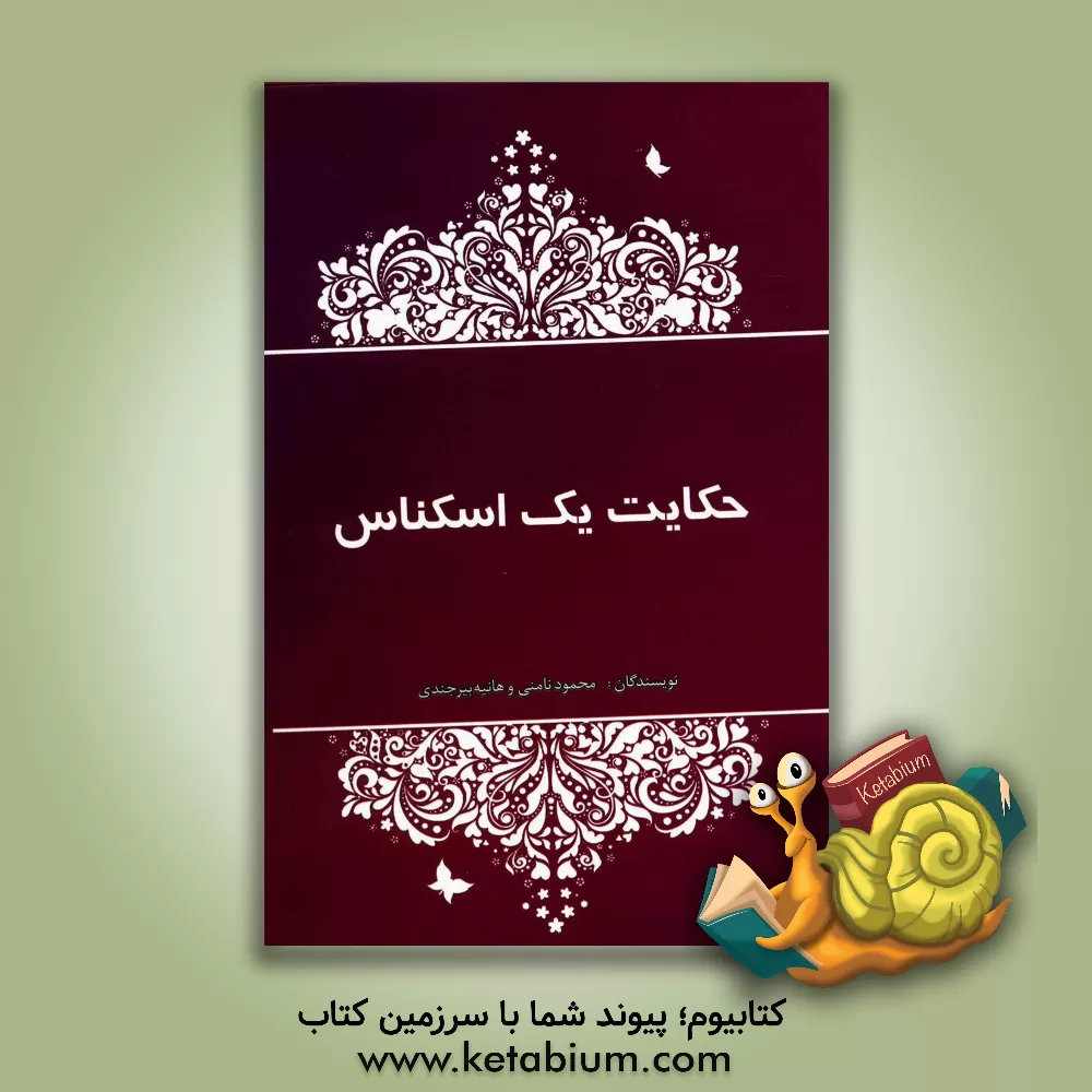 کتاب حکایت یک اسکناس اثر محمود نامنی