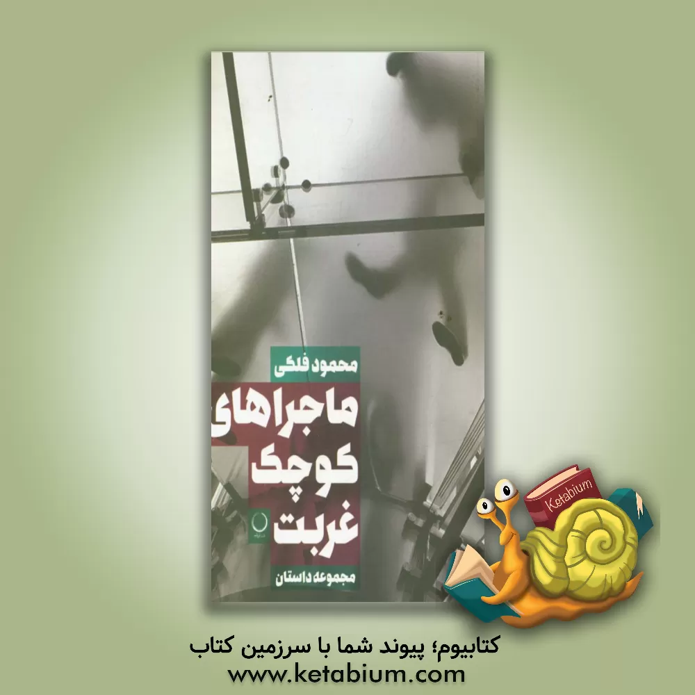 کتاب ماجراهای کوچک غربت اثر محمود فلکی