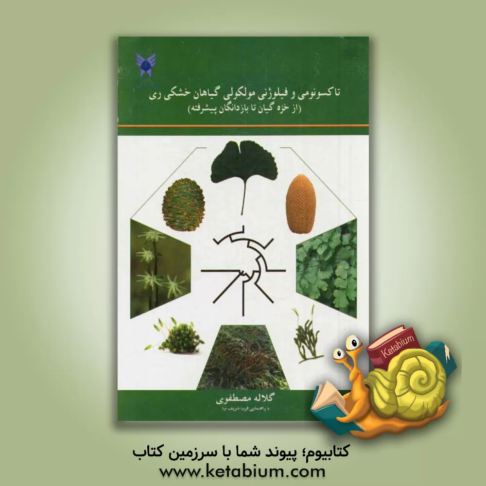 کتاب تاکسونومی و فیلوژنی مولکولی گیاهان خشکی زی: از خزه گیاهان تا بازدانگان پیشرفته اثر گلاله مصطفوی
