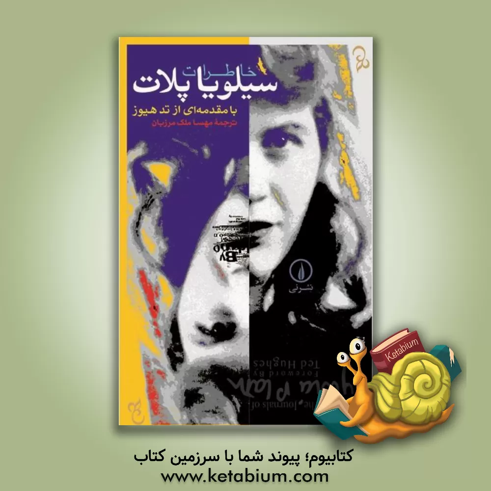 کتاب خاطرات سیلویا پلات اثر سیلویا پلت