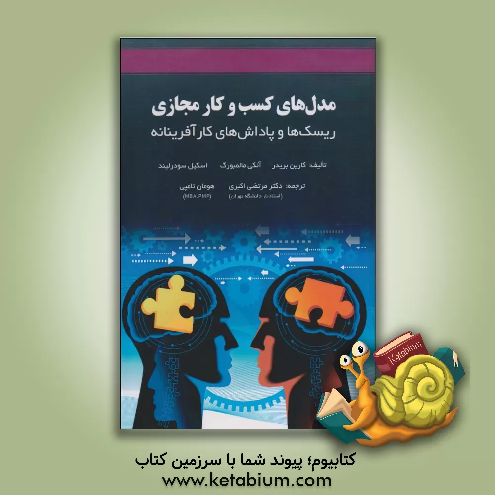 کتاب مدل های کسب و کار مجازی: ریسک ها و پاداش های کارآفرینانه اثر کارین برایدر