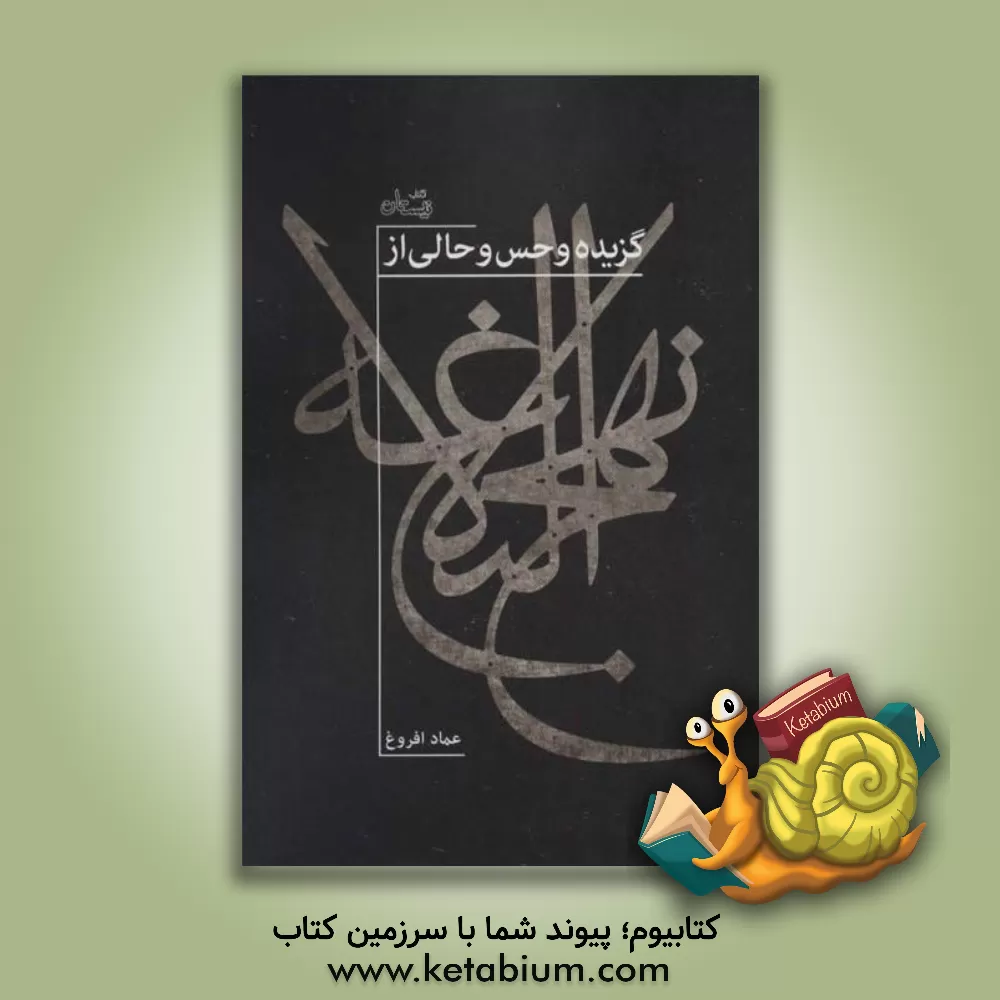 کتاب گزیده و حس و حالی از نهج البلاغه بر پایه ترجمه محمد دشتی اثر علی‌بن‌ابی‌طالب(ع)