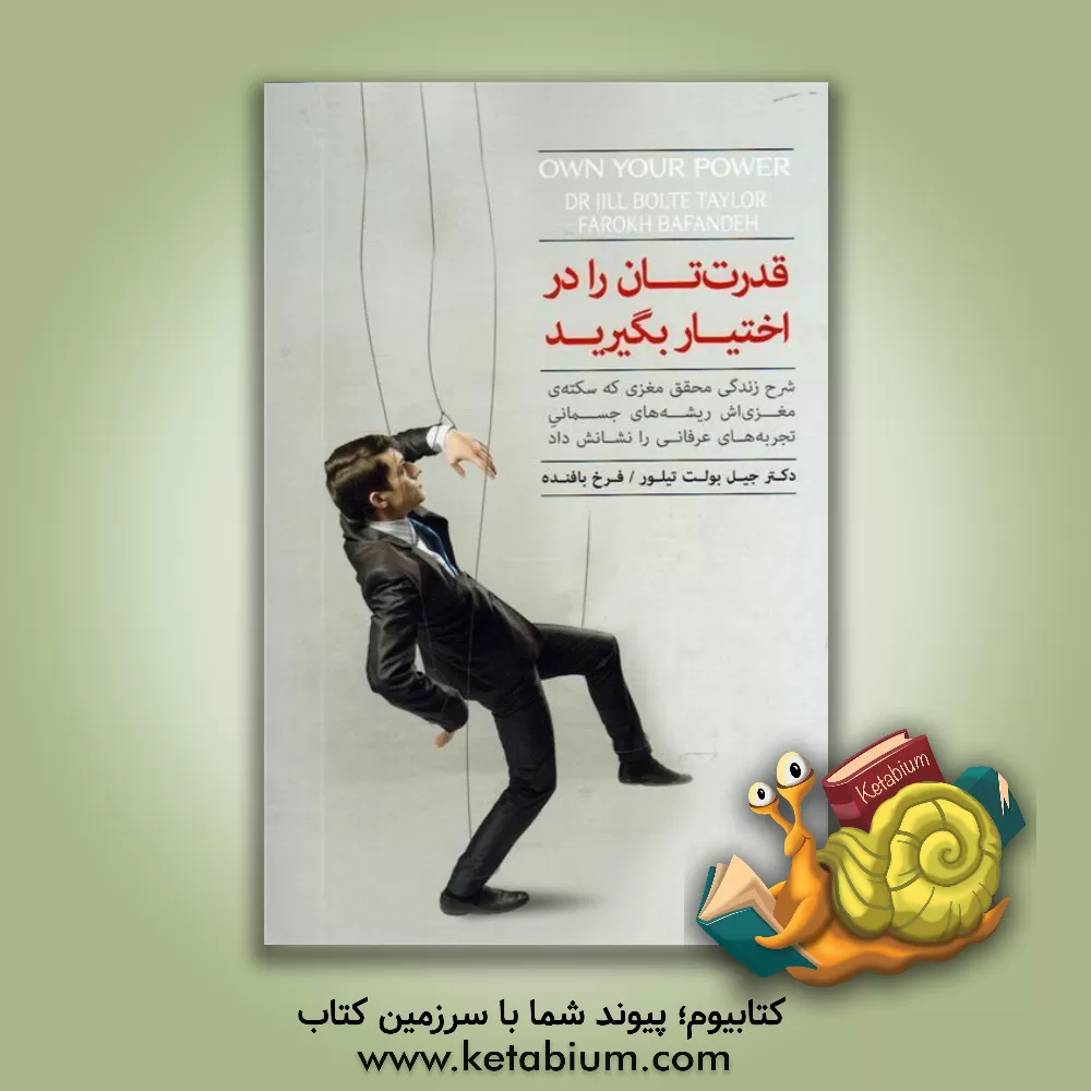 کتاب قدرتتان را در اختیار بگیرید: شرح زندگی محقق مغزی که سکته ی مغزی اش ریشه های جسمانی تجربه های عرفانی را نشانش داد اثر جیل‌بولت تیلور