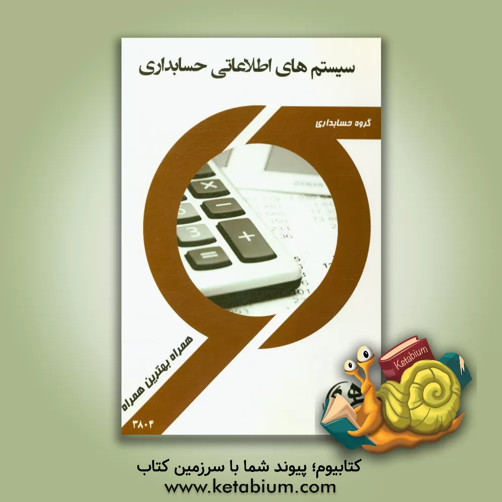 کتاب سیستم های اطلاعات حسابداری اثر محسن حسنی