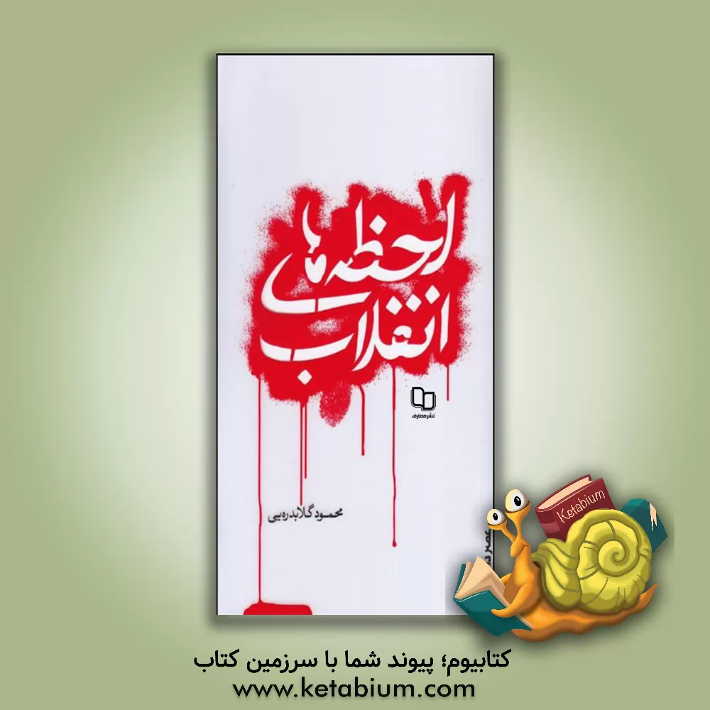 کتاب لحظه های انقلاب اثر محمود گلابدره‌ای