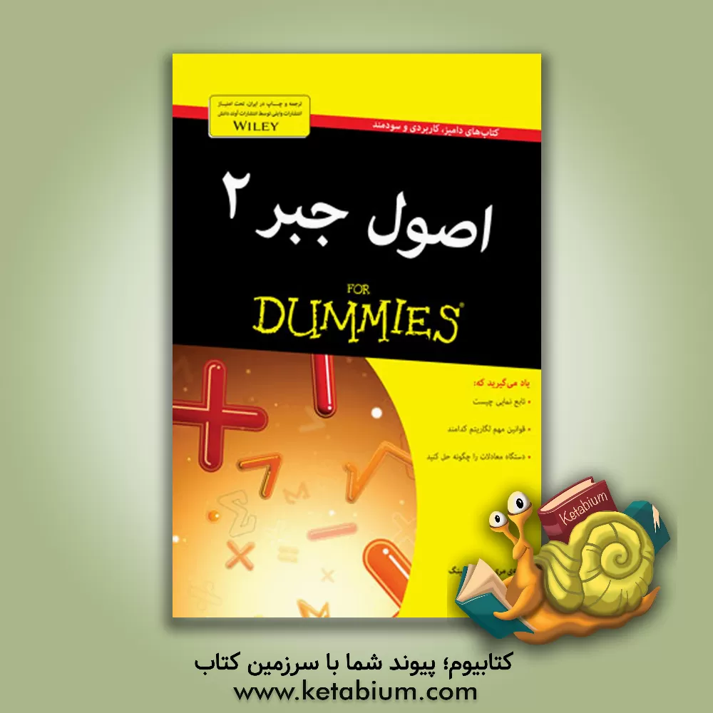 کتاب اصول جبر 2 for dummies اثر مری‌جین استرلینگ