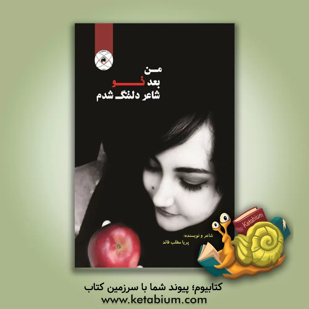 کتاب من بعد تو شاعر دلتنگ شدم اثر پریا مطلب‌فائد