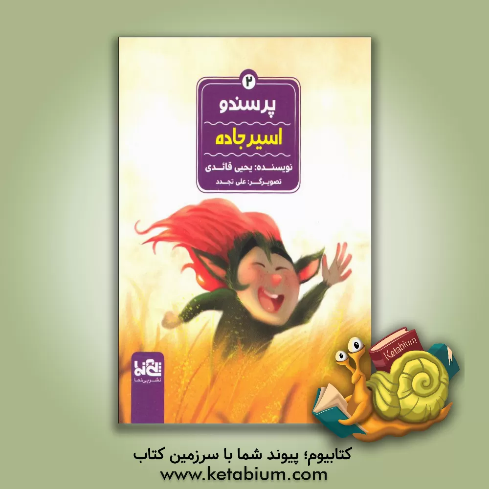 کتاب اسیر جاده اثر یحیی قائدی