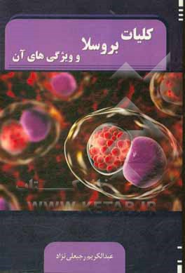 کتاب کلیات بروسلا و ویژگی های آن اثر عبدالکریم رجبعلی‌نژاد