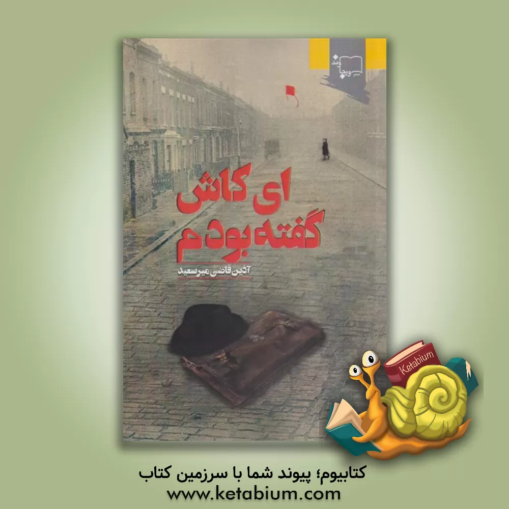 کتاب ای کاش گفته بودم اثر آذین قاضی‌میرسعید