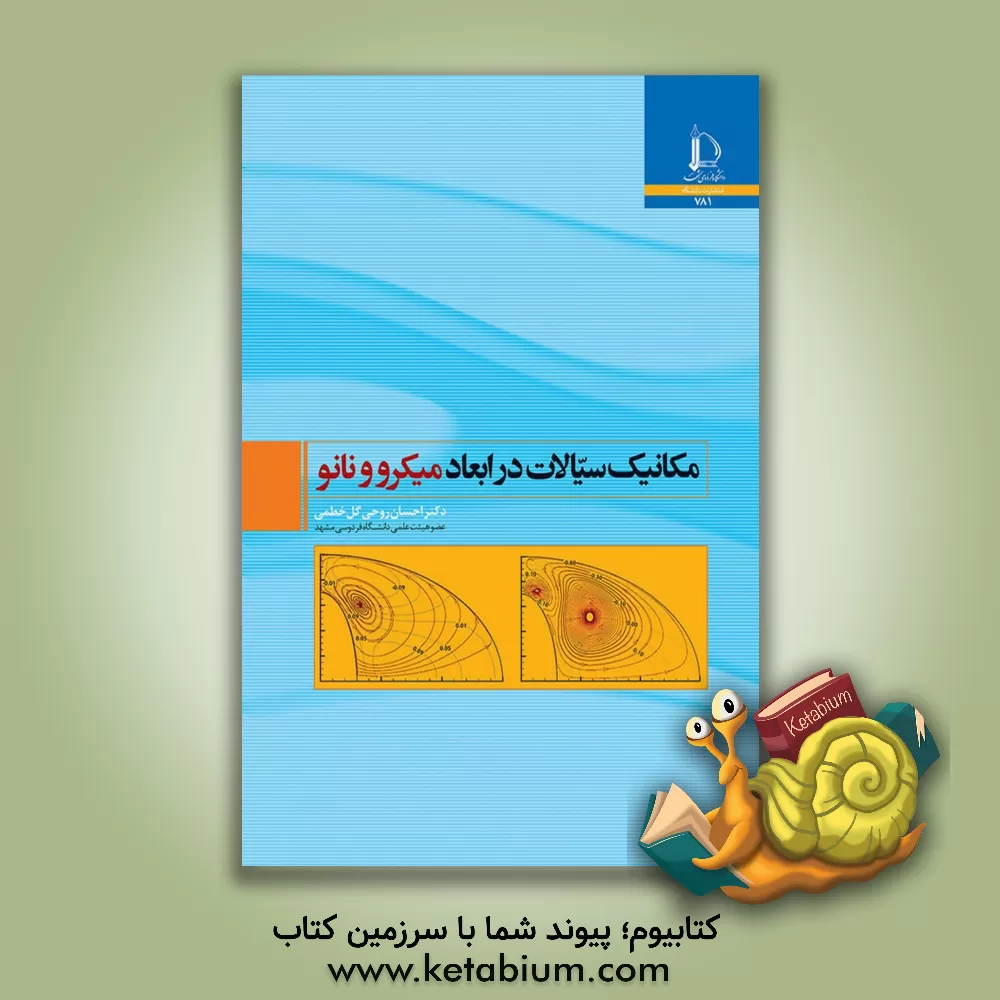کتاب مکانیک سیالات در ابعاد میکرو و نانو |اثر احسان روحی گل خطمی