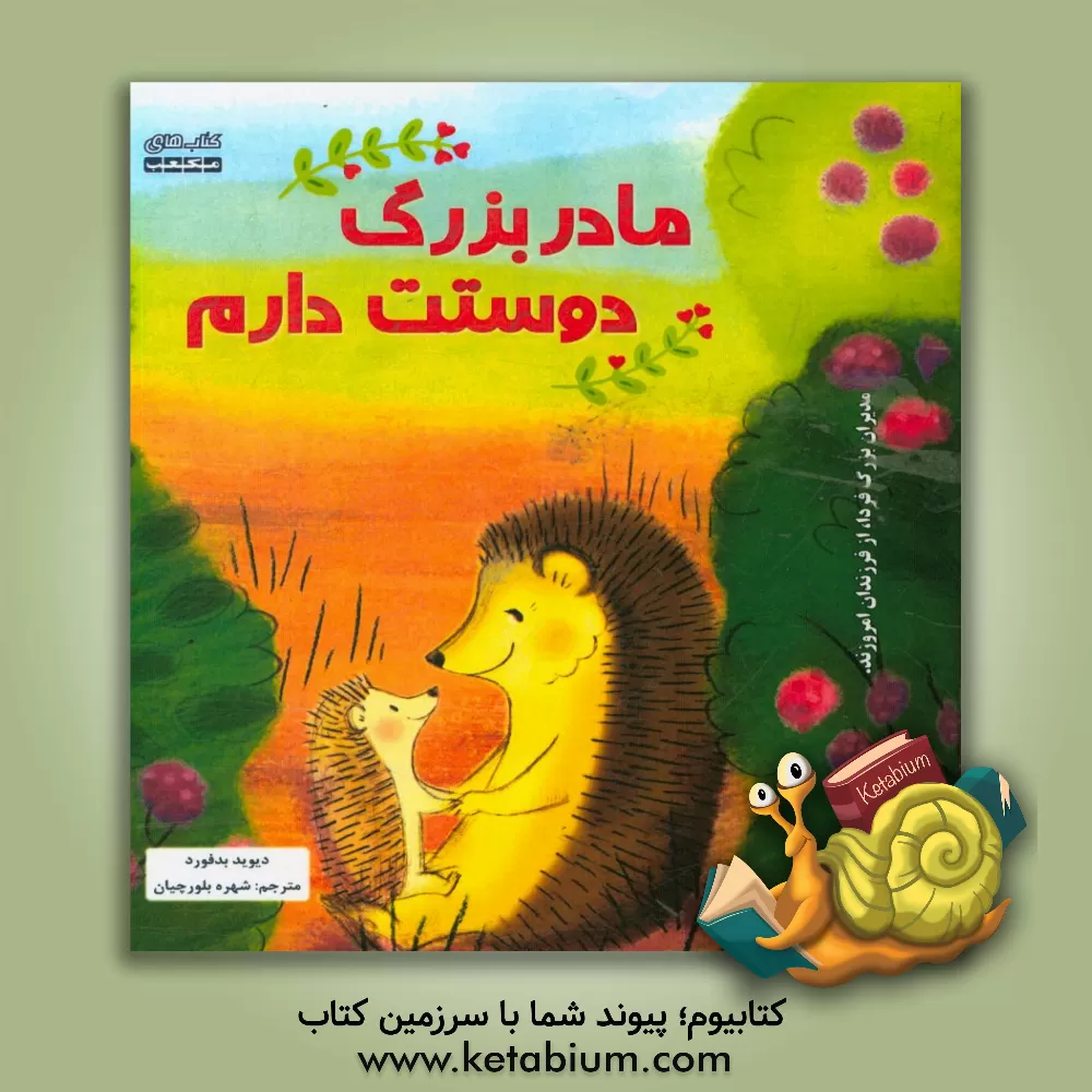 کتاب مادربزرگ دوستت دارم اثر دیوید بدفورد