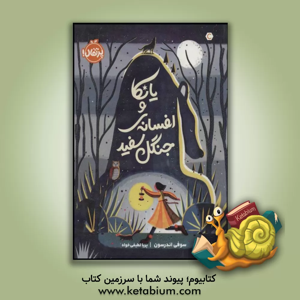 کتاب یانکا و افسانه ی جنگل سفید اثر سوفی اندرسن