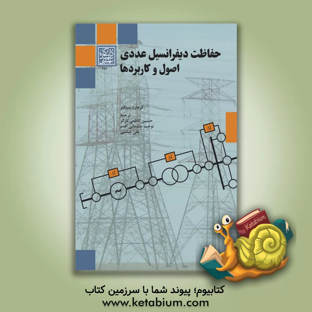 کتاب حفاظت دیفرانسیل عددی: اصول و کاربردها اثر گرهارد تسیگلر