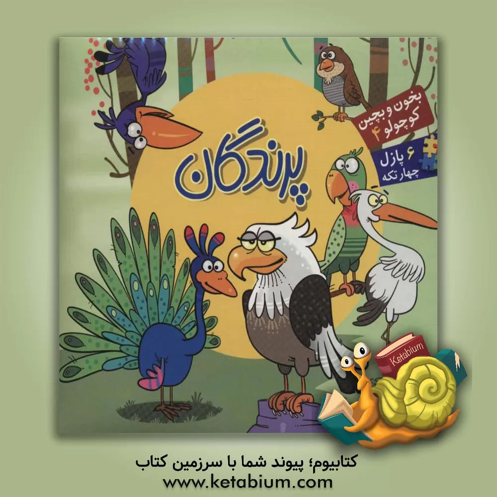 کتاب پرندگان |اثر ربابه کوهستانی