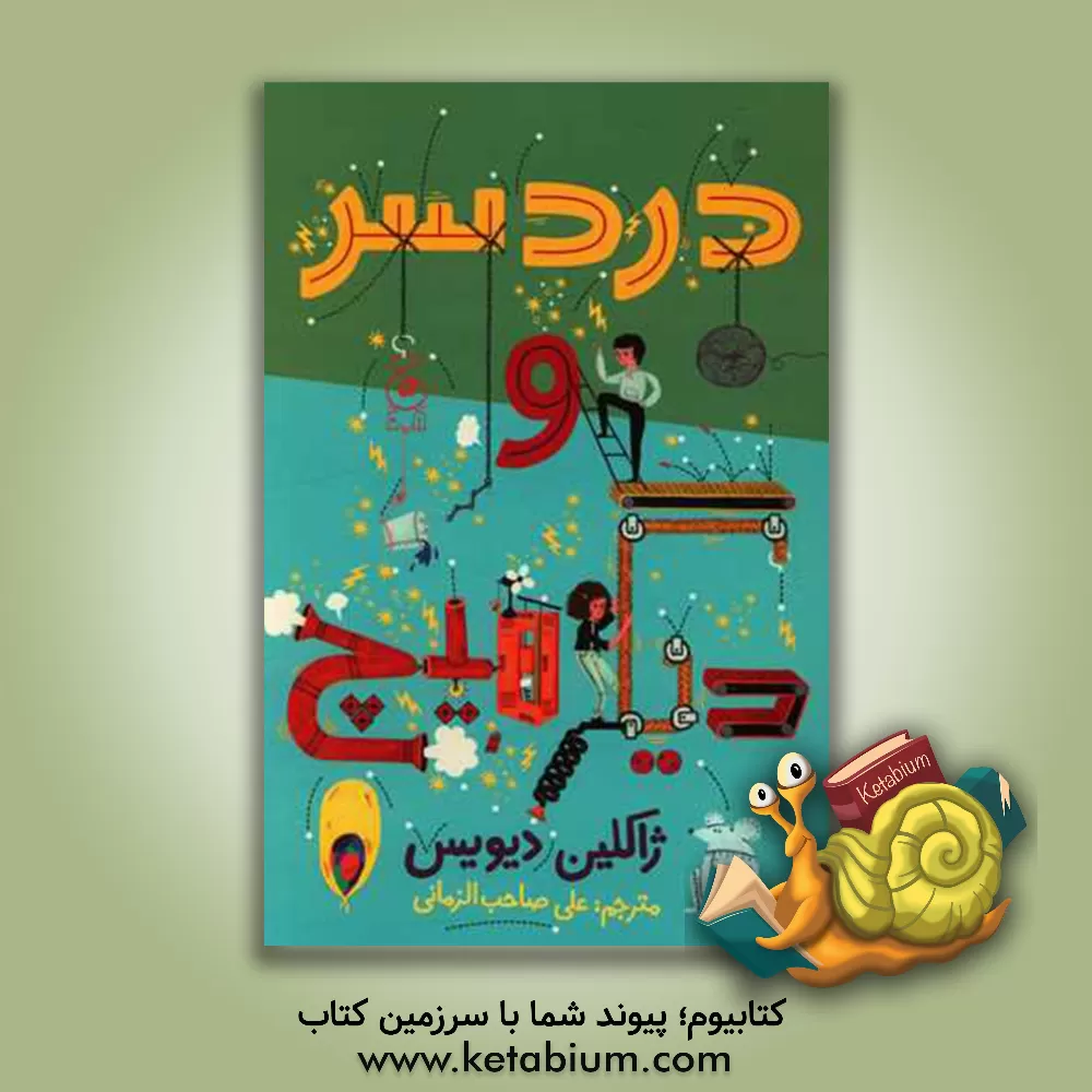 کتاب دردسر و دیگر هیچ اثر جکلین دیویس