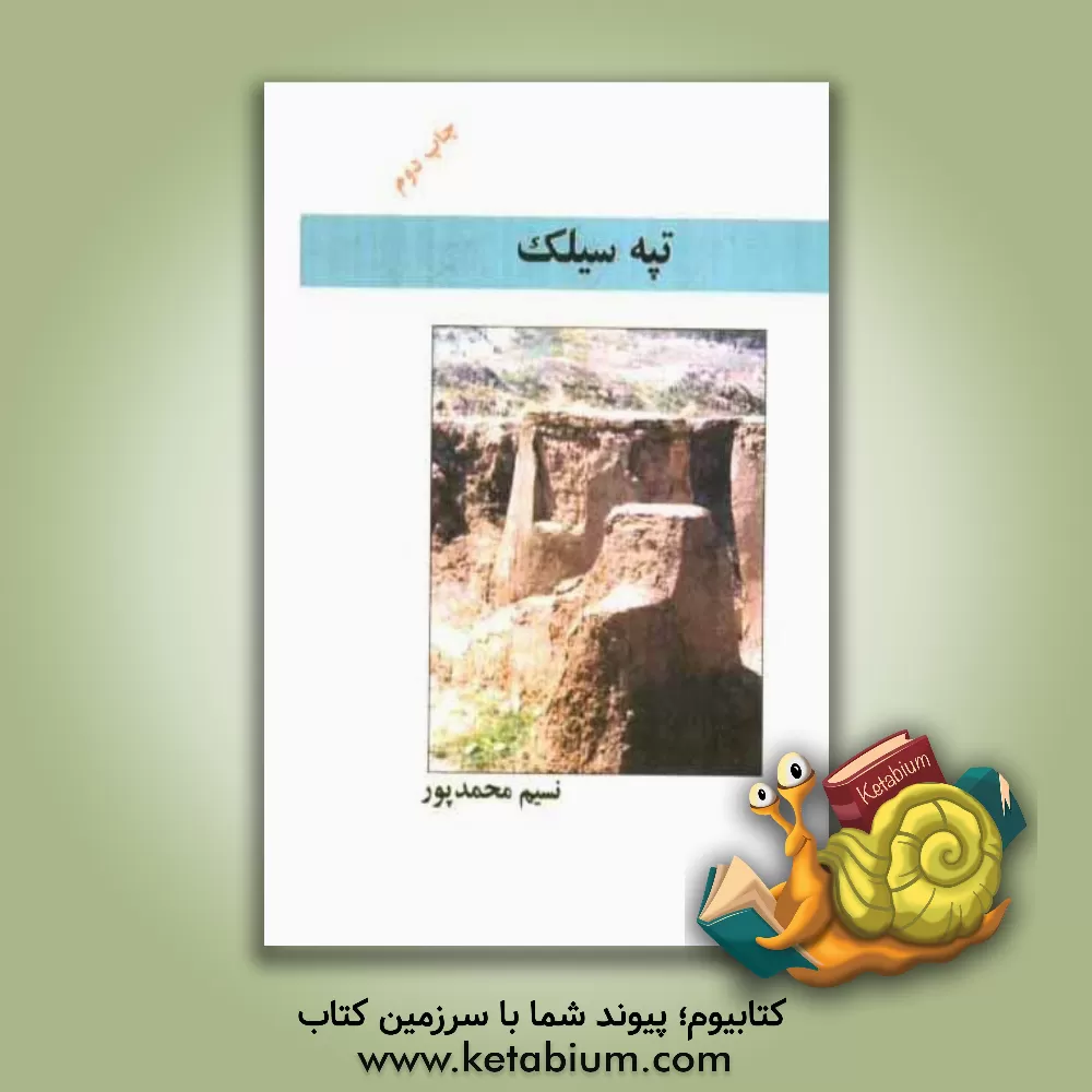 کتاب تپه سیلک اثر نسیم محمدپور
