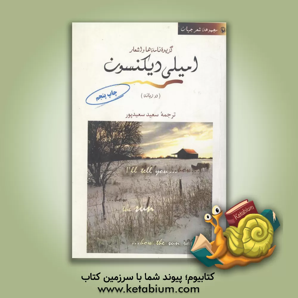 کتاب ... به خاموشی نقطه ها بر صفحه ی برف ...: گزیده نامه ها و اشعار امیلی دیکنسون (دوزبانه) |اثر سعید سعیدپور
