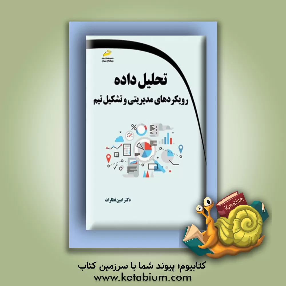 کتاب تحلیل داده: رویکردهای مدیریتی و تشکیل تیم اثر امین نظارات