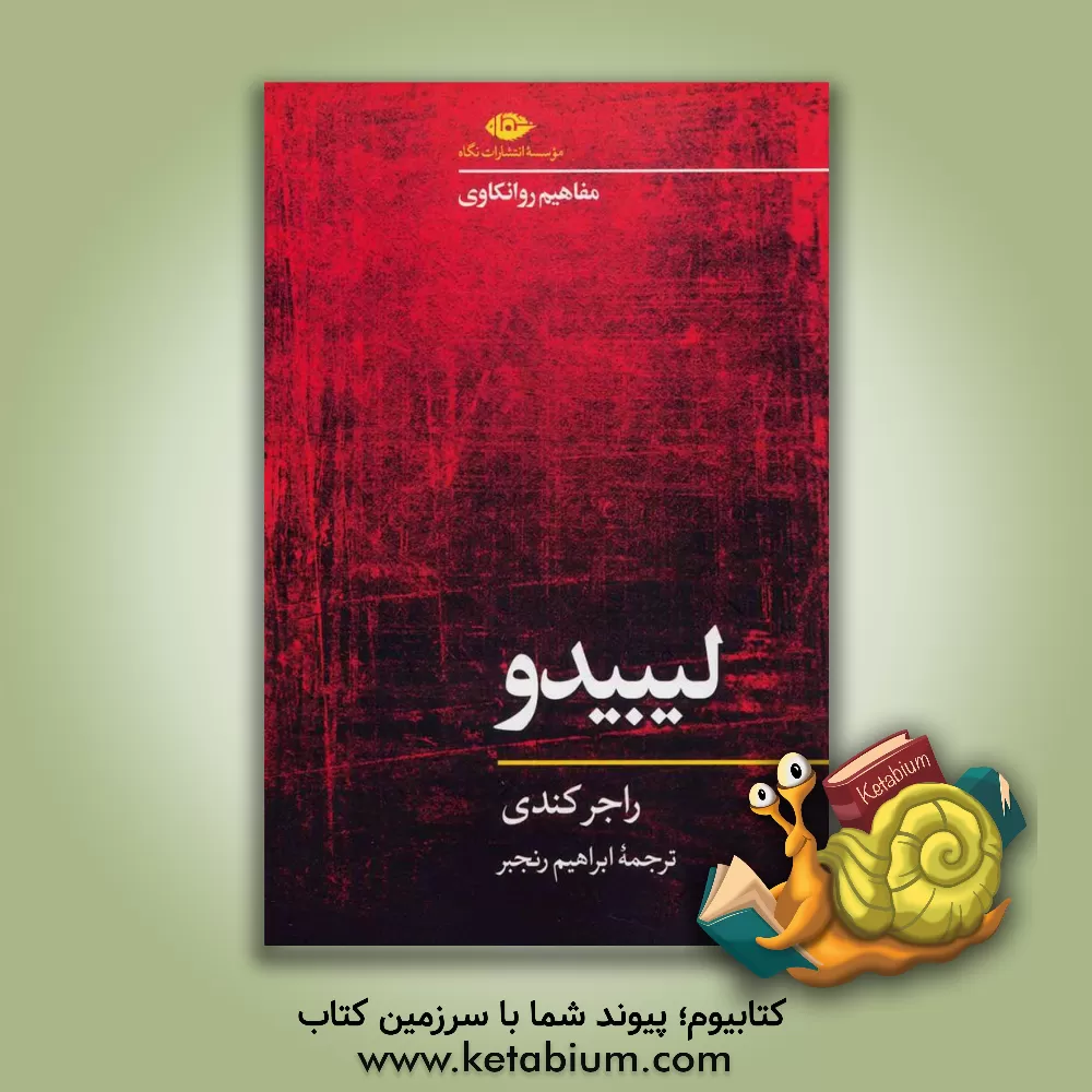 کتاب مفاهیم روانکاوی: لیبیدو اثر راجر کندی