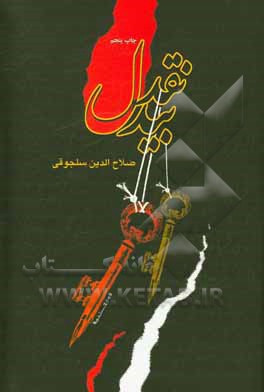 کتاب نقد بیدل اثر صلاح‌الدین سلجوقی