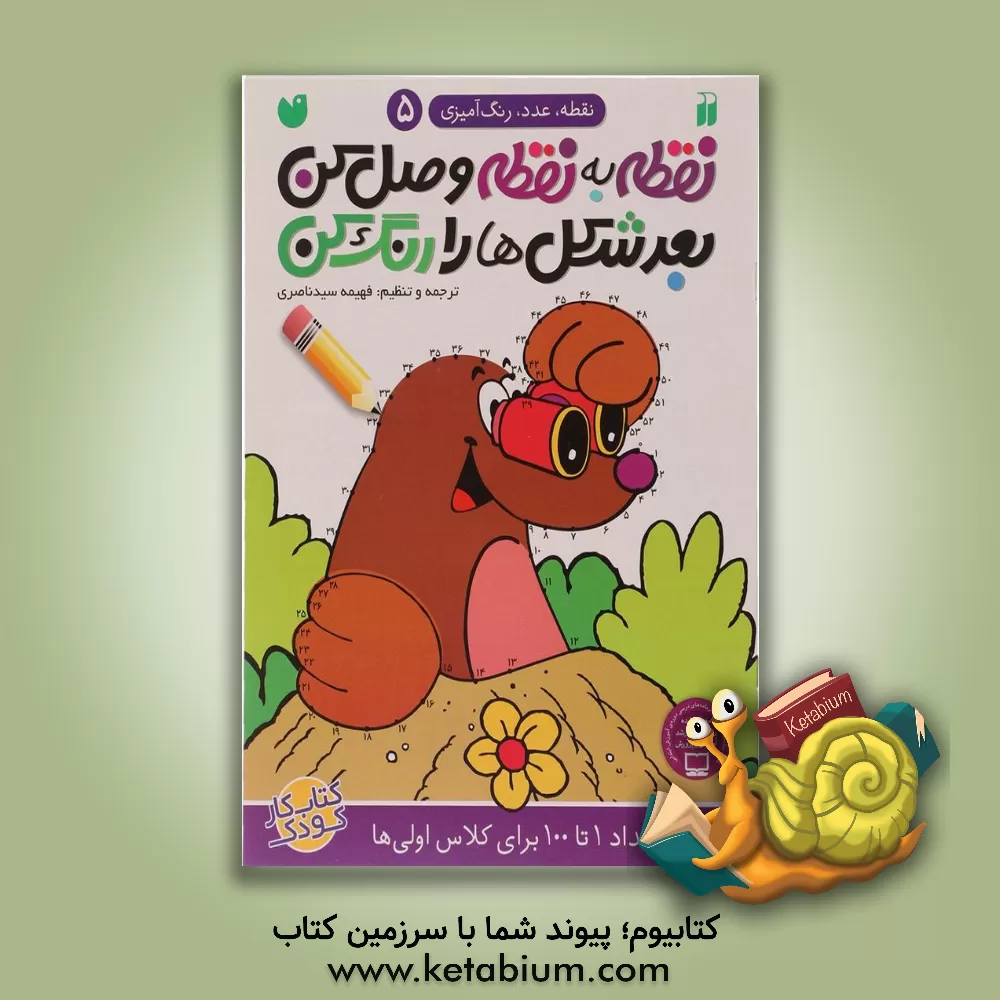 کتاب نقطه به نقطه وصل کن،‌ بعد شکل‌ها را رنگ کن: ترتیب اعداد 1 تا 100 برای کلاس اولی‌ها اثر فهیمه سیدناصری