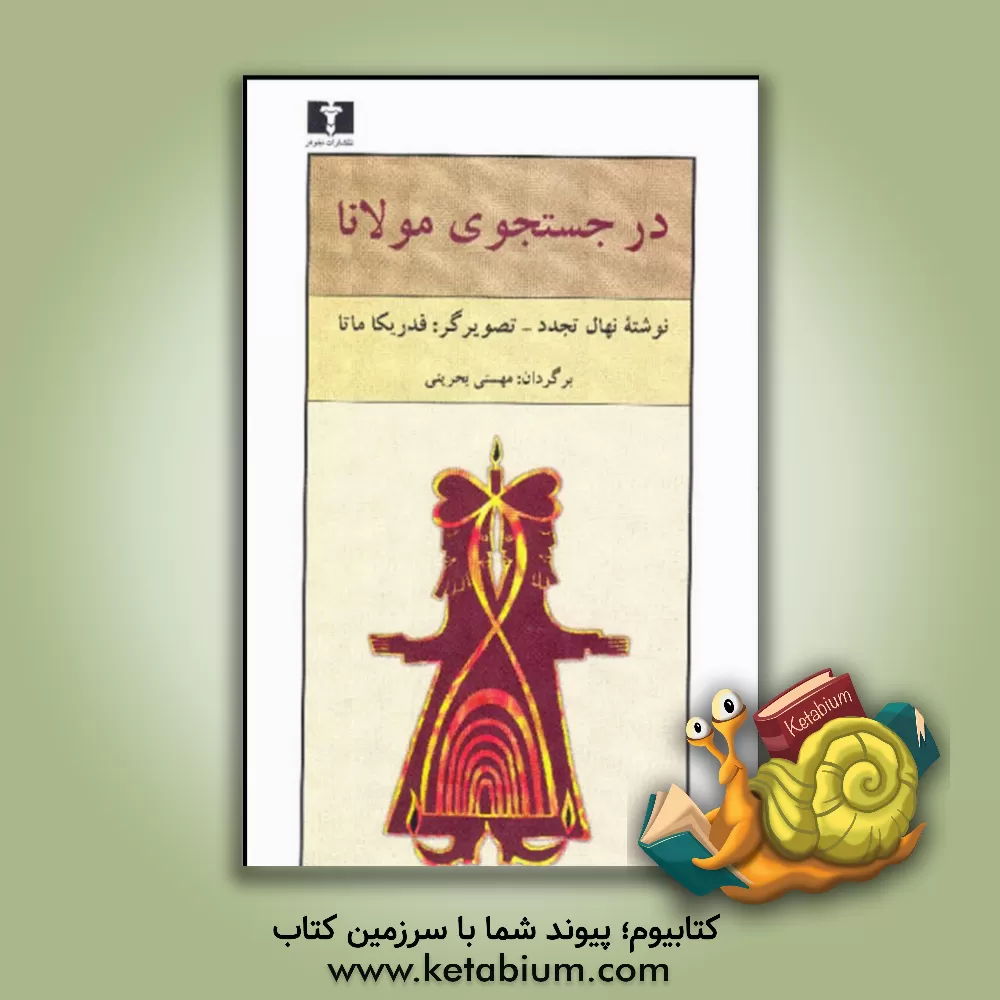 کتاب در جستجوی مولانا اثر نهال تجدد