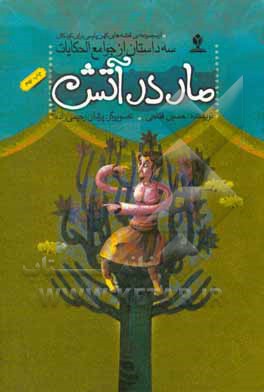 کتاب مار در آتش اثر حسین فتاحی