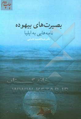 کتاب بصیرت‌های بیهوده: نود و دو نامه به ایلیا اثر عبدالحمید ضیایی