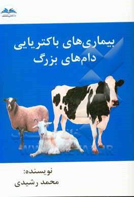 کتاب بیماری‌های باکتریایی دام‌های بزرگ اثر محمد رشیدی